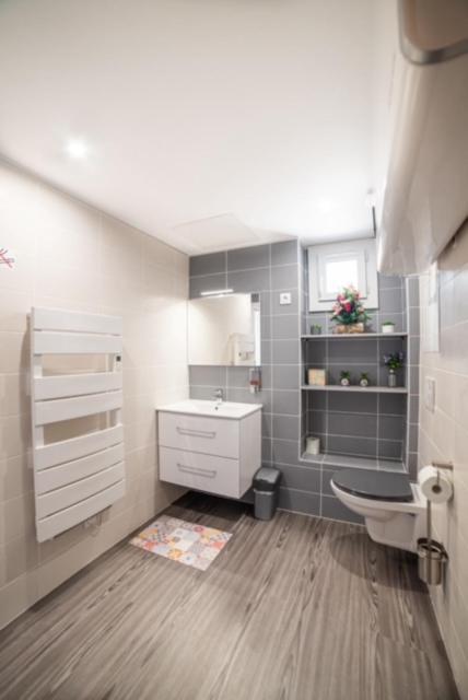 Apartment Ensoleillee Lyon Eurexpo , Proche Stade